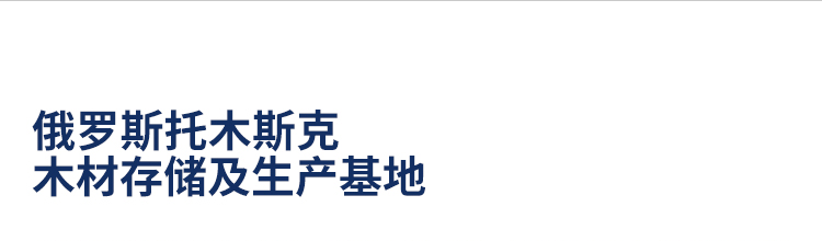 河南籃球館運(yùn)動(dòng)木地板施工團(tuán)隊(duì)