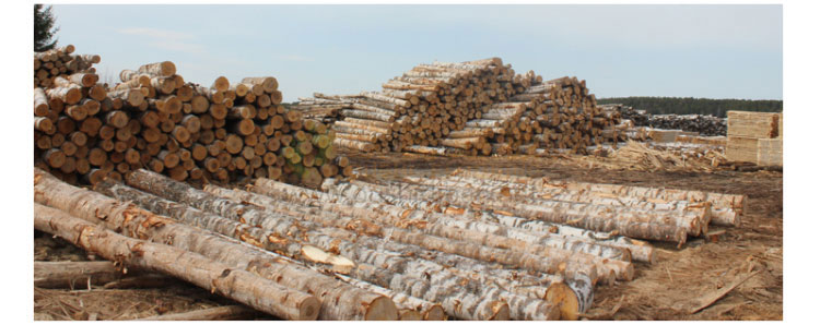 河南籃球館運(yùn)動(dòng)木地板施工團(tuán)隊(duì)