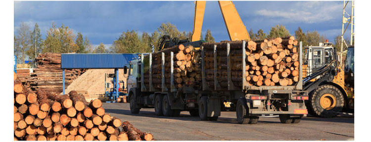 河南籃球館運(yùn)動(dòng)木地板施工團(tuán)隊(duì)