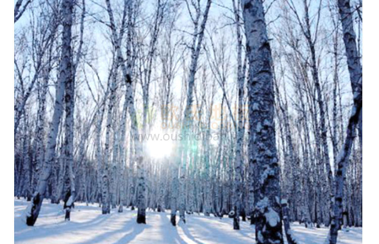 河南籃球館運(yùn)動(dòng)木地板施工團(tuán)隊(duì)